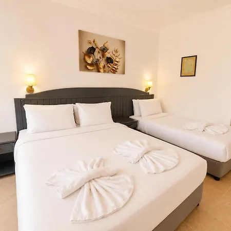 Kilim & Hotel apartamentowy 3*