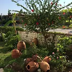 Kilim & Φετιγιέ